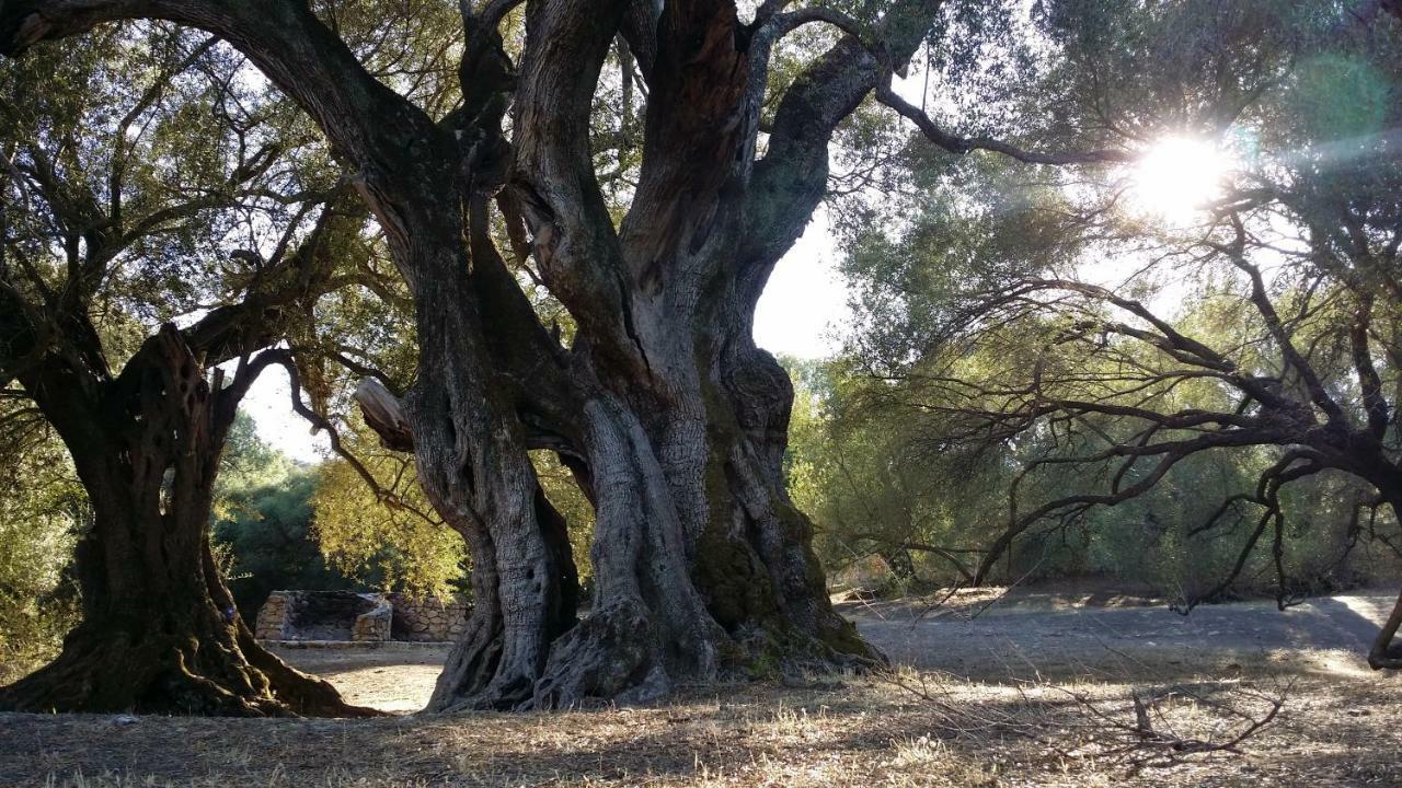 Il Giardino All'Angolo Villacidro Eksteriør bilde