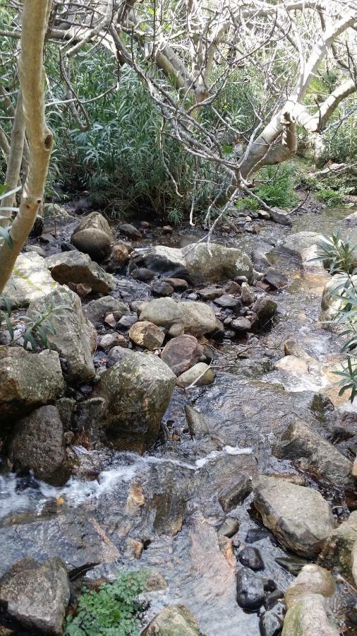 Il Giardino All'Angolo Villacidro Eksteriør bilde