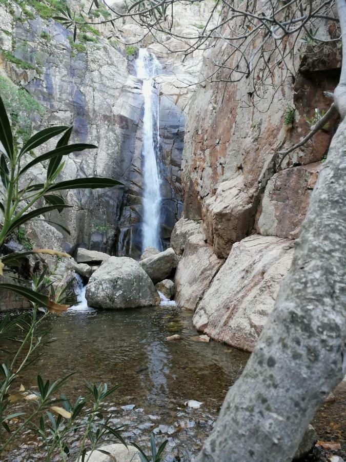 Il Giardino All'Angolo Villacidro Eksteriør bilde